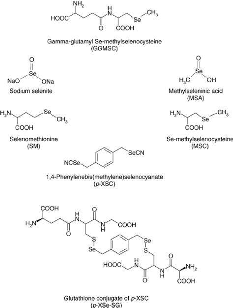 Image result for Selenium Compounds