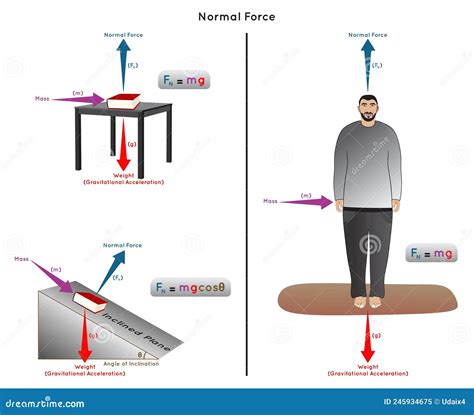 Toradh íomhá ar Normal Force Gravity Force