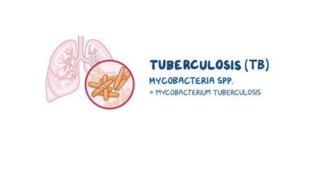 Image result for Tuberculosis Video