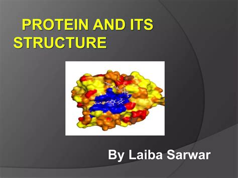 Image result for Protein Structure and Function