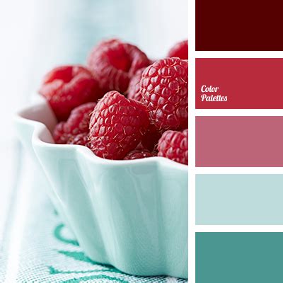 Image result for Raspberry Color Palette