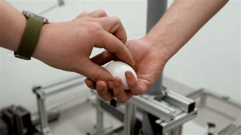 Vector Scan Experiment-এর ছবি ফলাফল