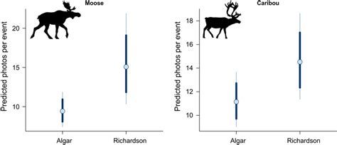 Image result for Predicted Detections Map Animals