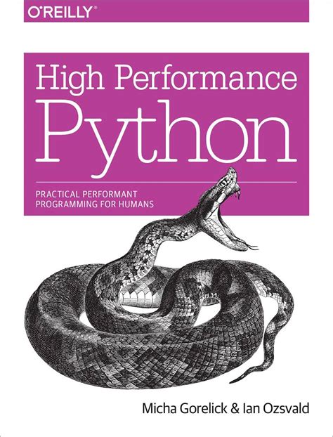 Image result for Python High Program