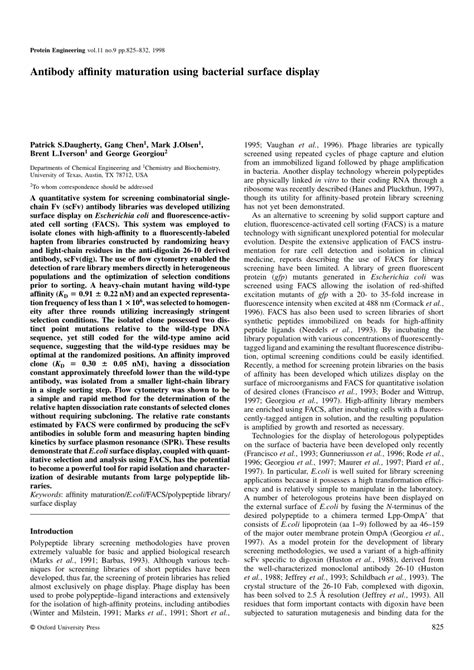 Image result for Antibody Affinity Modification Computer