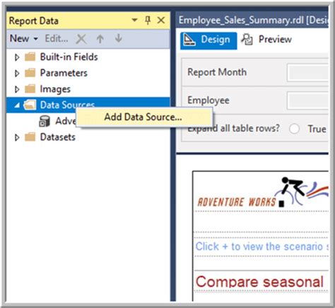 Image result for SQL Report Server Data Source