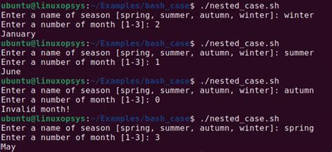 Image result for Case Sentence in Shell Scripting