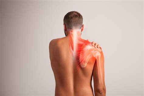 Image result for Scapula Problems