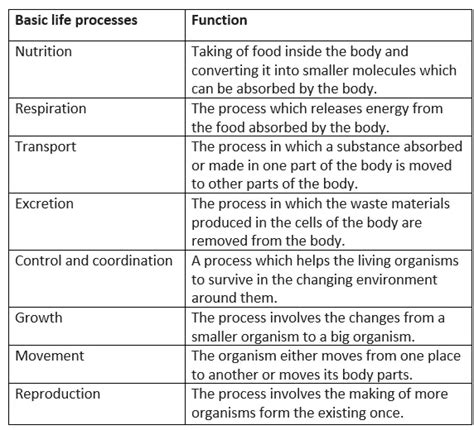 Image result for Life Processes Class 10 Flow Chart