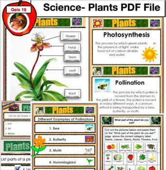 Afbeeldingsresultaten voor PDF File Picture Science