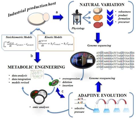 Microbial Process Optimization に対する画像結果