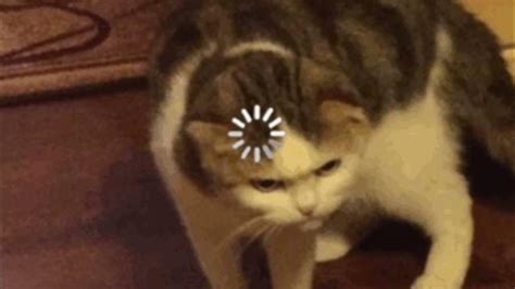 Image result for Loading Thinking Meme