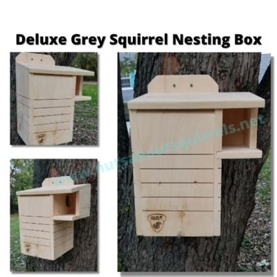 Fox Squirrel Nest Box に対する画像結果