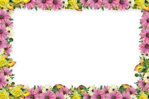 Image result for Boarder Frame Landscape