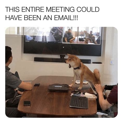 Image result for Zoom Call Meme