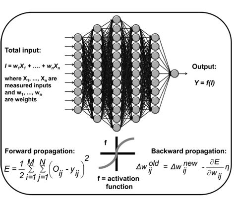 Backward Propagation Neural Network に対する画像結果