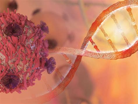 Image result for BD Flow Cytometry Training