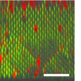 Toradh íomhá ar Stacking Defects Crystal