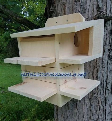 Fox Squirrel Nest Box に対する画像結果