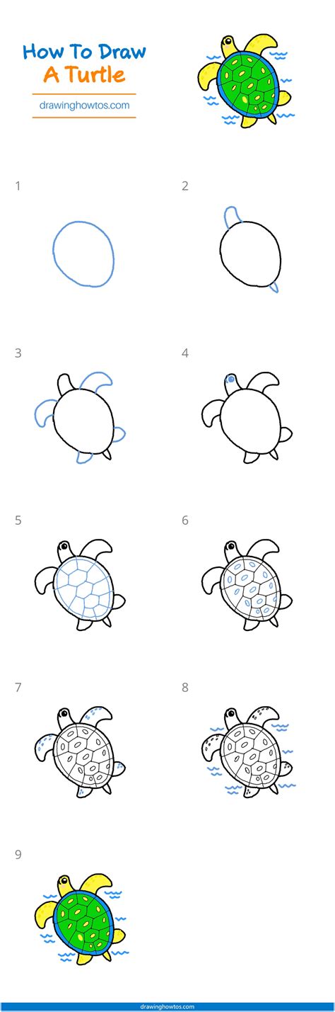 Toradh íomhá ar Turtle Drawing Step by Step