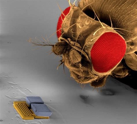 Image result for Microbotics Example