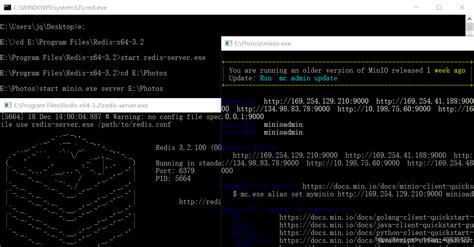 Image result for Bat Program