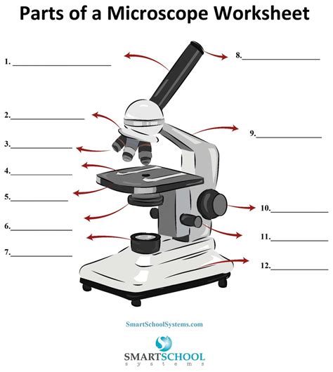 Bacteriology Parts of Microscope Quiz Diagram | Quizlet