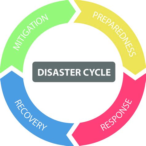 Post-Disaster Project Management Cycle に対する画像結果