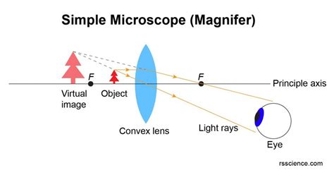 Toradh íomhá ar The Simple Microscope and How It Works