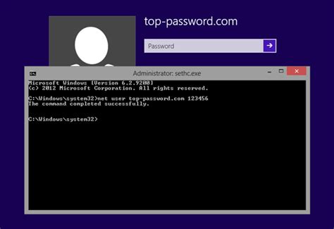 Image result for Windows 8 Password Input
