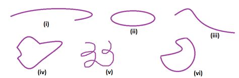 Image result for Curved Line Example