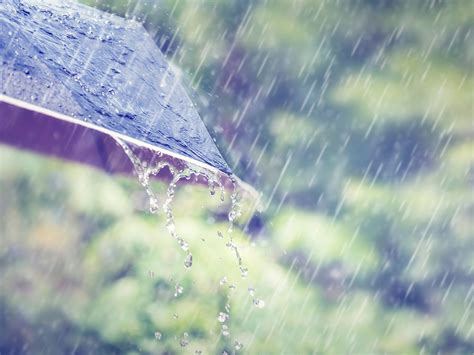 Image result for Rain Cycle