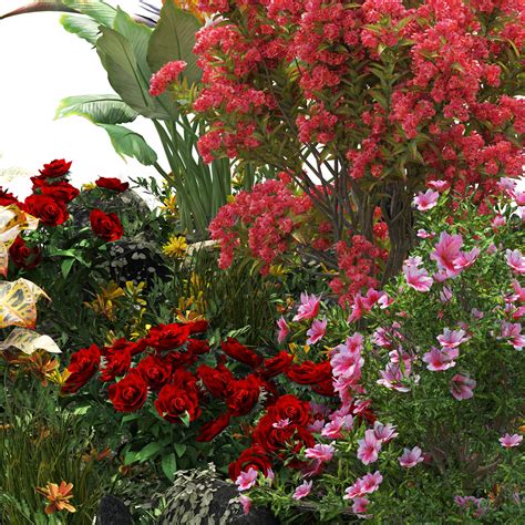 Spring Flower Collection に対する画像結果