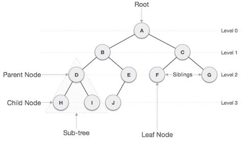 Image result for Tree Graph Data Structure