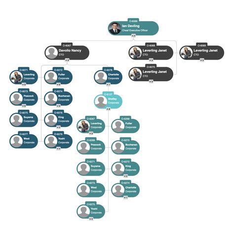 Toradh íomhá ar React TypeScript Organization Chart