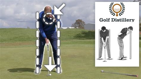 Putter Ball Position に対する画像結果