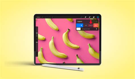 Image result for Duplicate Procreate Icon