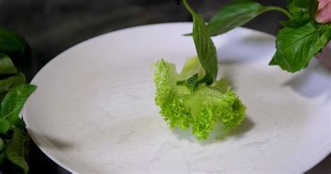 Afbeeldingsresultaten voor Transaction Moitoring Process Step by Step