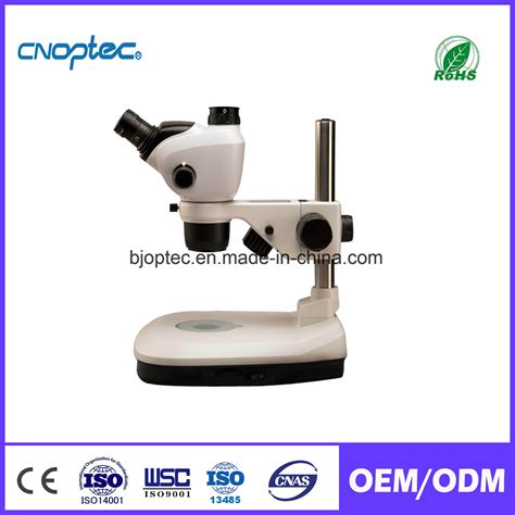 Image result for Stereo Microscope Magnification
