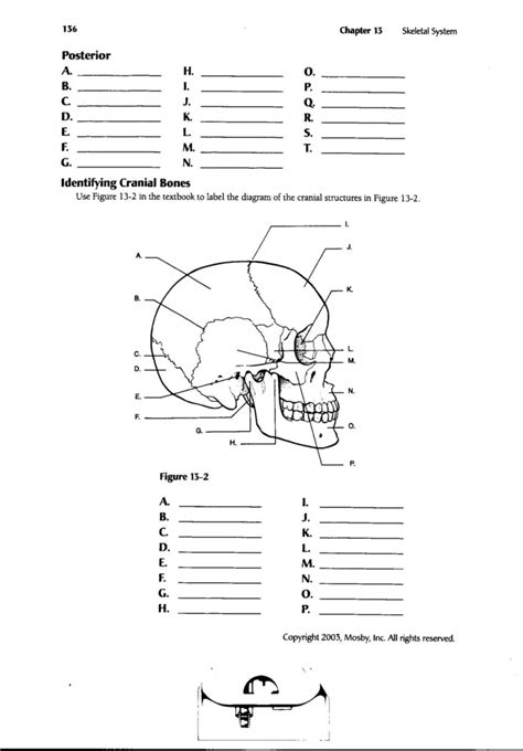 Image result for Anatomy Computer Worksheet Printable