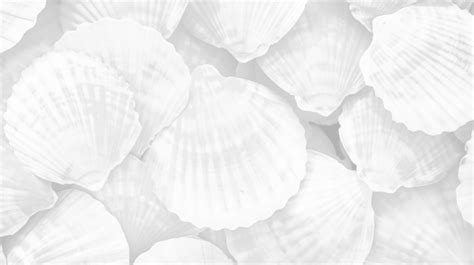 Image result for Shell Texture PNG Transparent