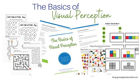 Image result for Process of Visual Perception