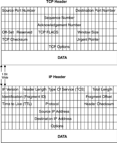 Image result for IP Protocol Header