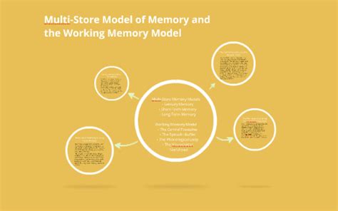 Image result for Multi-Store Memory Model Poster Design