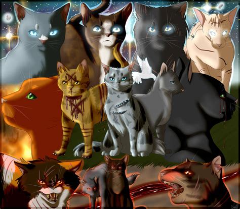 Image result for Splinter Warrior Cats