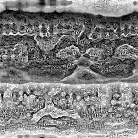 Toradh íomhá ar Nested Turing Patterns