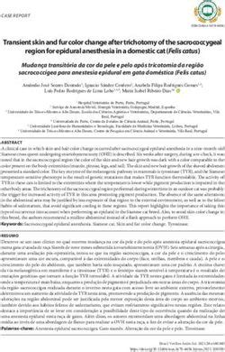 Transient Color HTML ਲਈ ਪ੍ਰਤੀਬਿੰਬ ਨਤੀਜਾ