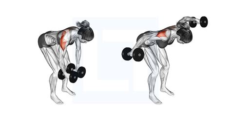 Toradh íomhá ar Dumbbell Fly Correct Form