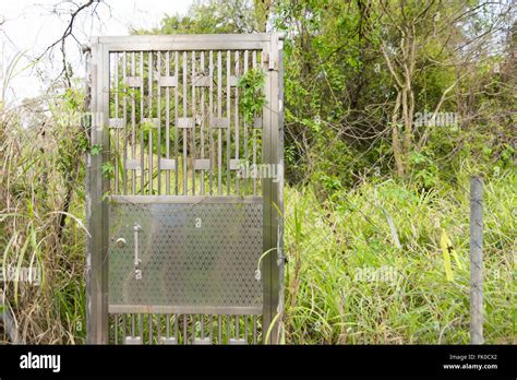 Image result for Open Door Grass