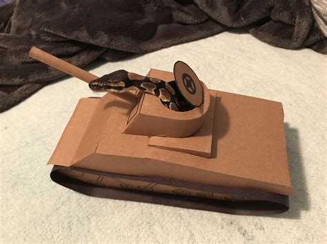 Ball Python Cake に対する画像結果